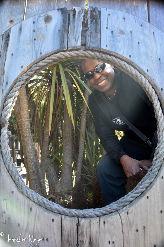 Robin checks out a fence porthole.