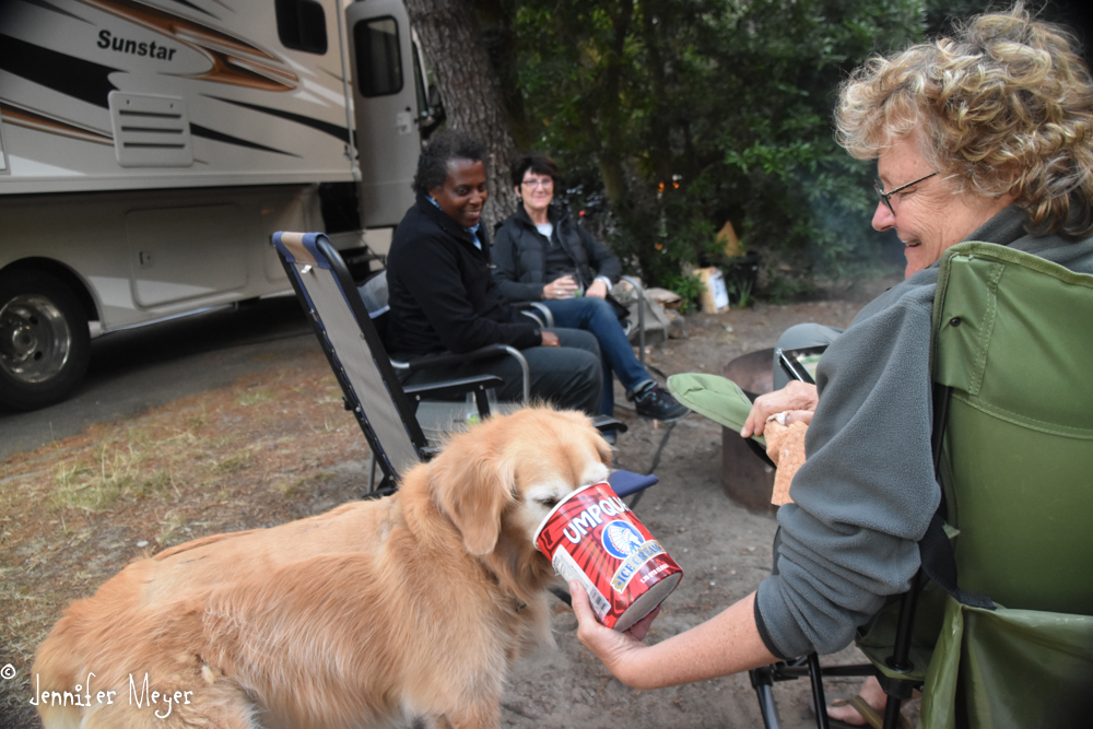 Bailey gets to finish off the ice cream.