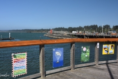 We nearly got blown down along the boardwalk.