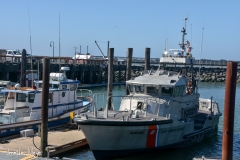 Boats in the harbor.