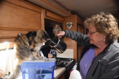 Gypsy loves the nightly ritual of filtering water.