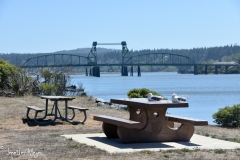 We went on one last bike ride by the river.