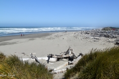 The beach was too windy to enjoy.