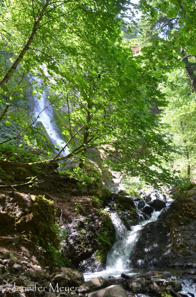 She and I crossed the creek several times to climb higher.