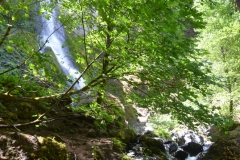 She and I crossed the creek several times to climb higher.