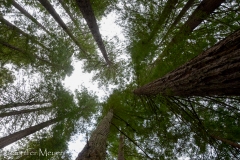 Looking up.