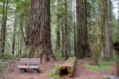A spot for contemplation.