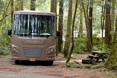 Nested at the end of a long day in the our Jedidiah Smith campsite.