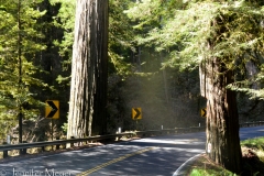 But it was a challenge. Notice the notched-out redwood.