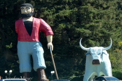 But wait a minute... Did Paul have a logging accident?