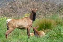 Mother and baby.
