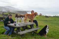 Buddy, Bella, and Bailey  thought the view was divine.