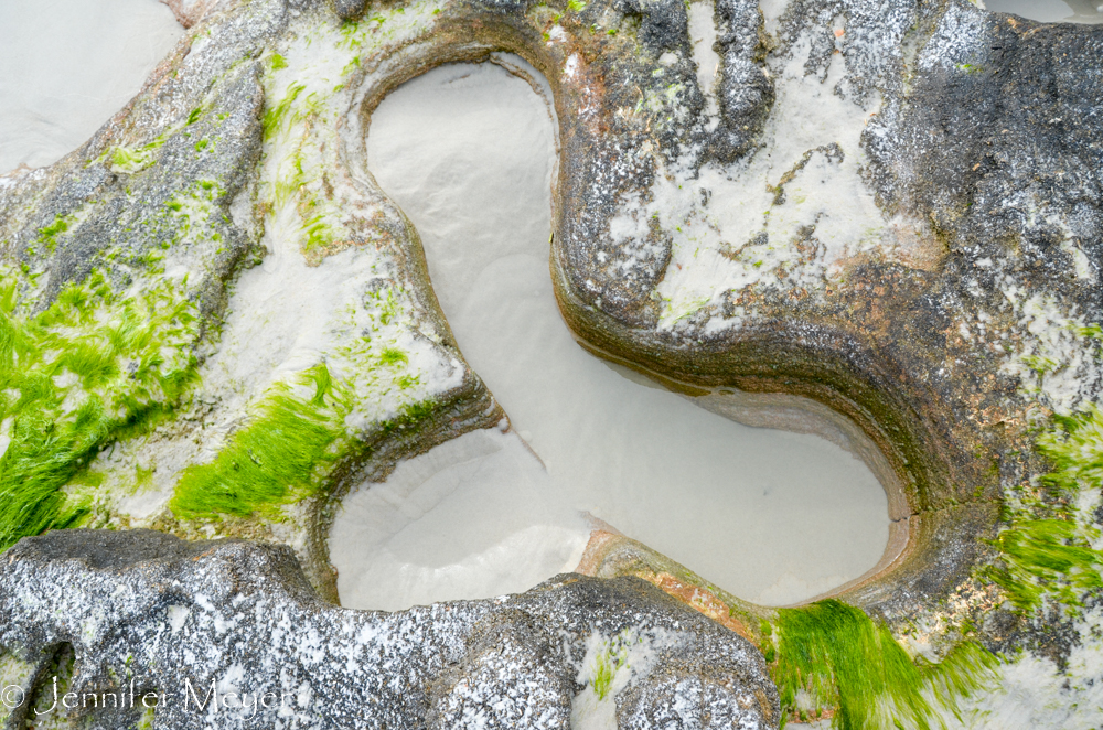 Waves and water have created holes in the rocks.