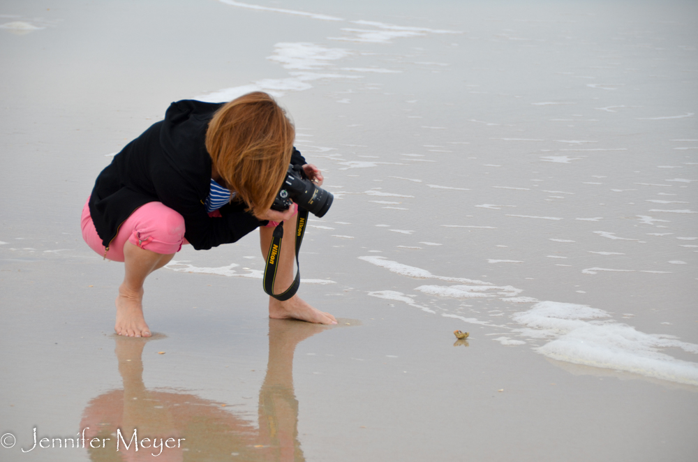 It was tricky to get a shot of Little Bear and a wave without getting him wet.