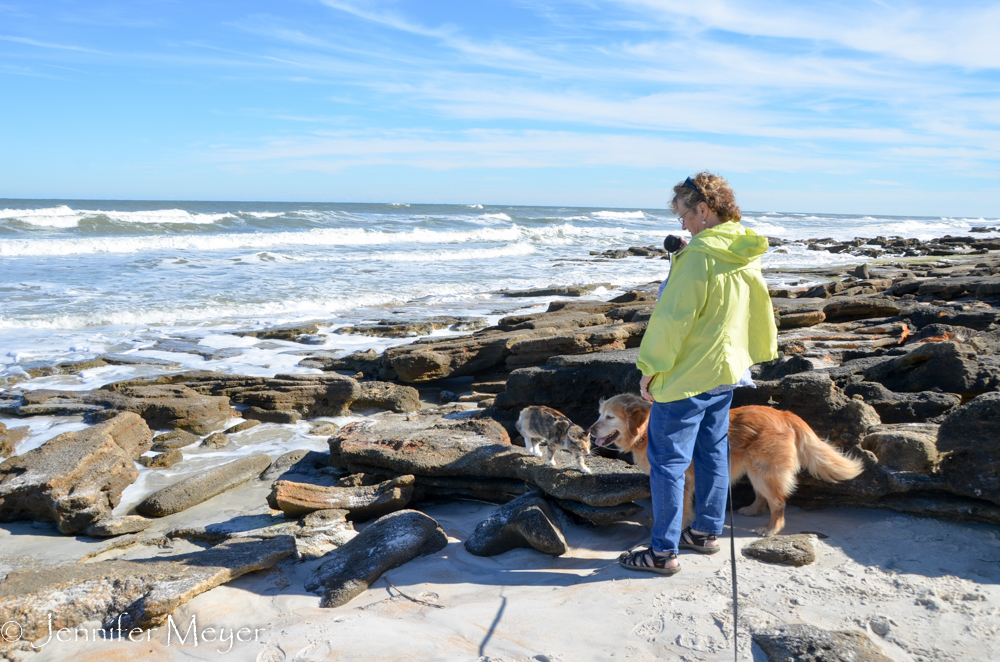 Exploring the rocky shore.