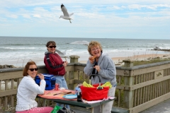 We had a rather nippy picnic on the boardwalk.