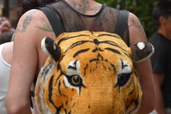 Tiger backpack.
