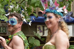 Flowers and butterflies.