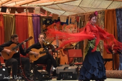 ...with a Flamenco dancer.