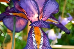 This is actually a lamp.