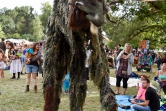 Walking slowly on four legs.