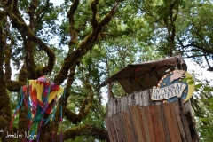 Security in the trees.