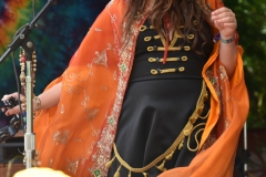 Royal Jelly Jive performer.