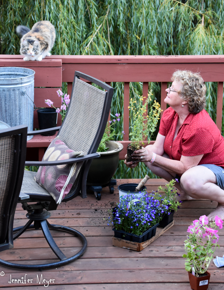 Kate immediately started putting in a deck garden.