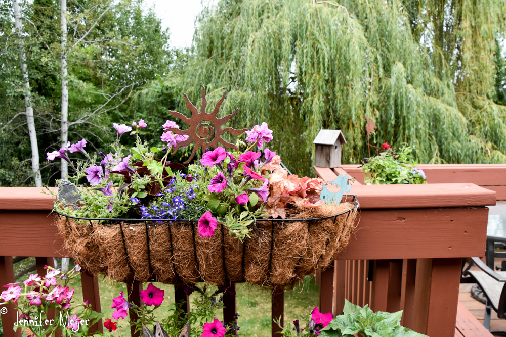 Now Kate feels at home.