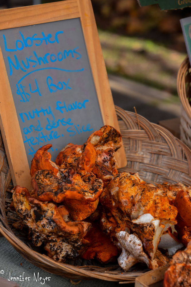 Lobster mushrooms.