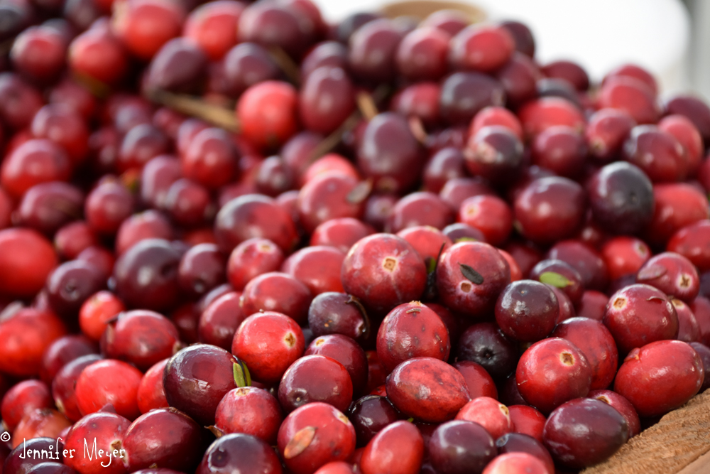 Cranberries from a Bandon bog.