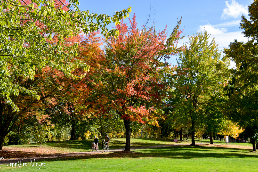 Maurie Jacobs park.