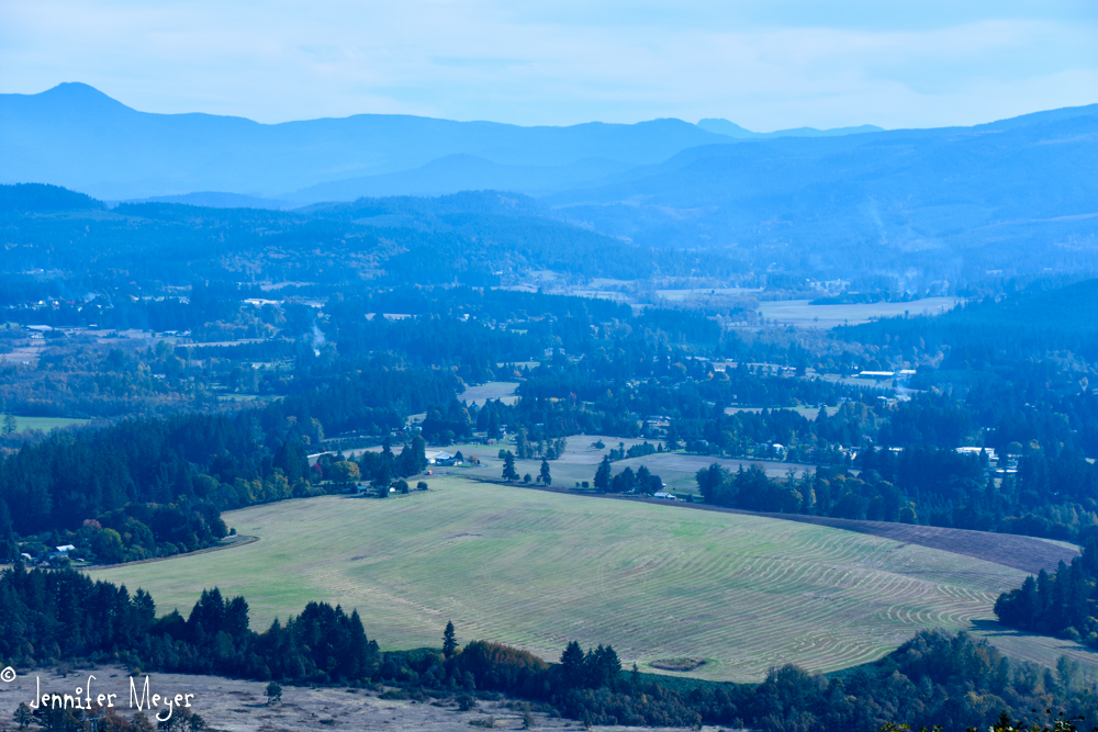 Fields below.