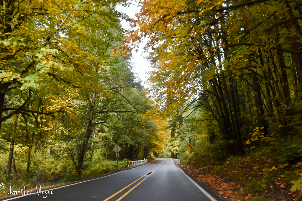 On Sunday, Kate and I took a country drive.