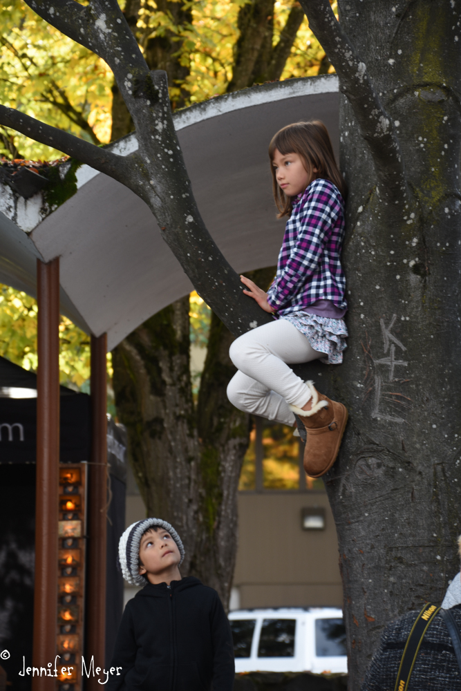 Watching from a perch.