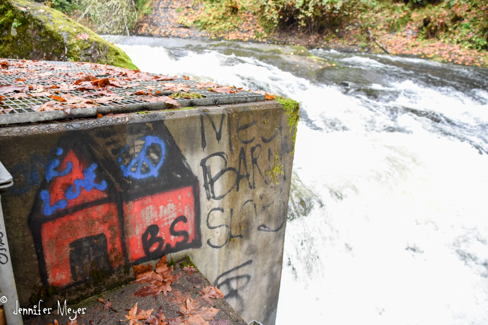 There was a fish ladder to make it easier.