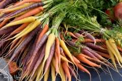 Multi-colored carrots.