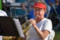 Show tunes and patriotic music.