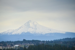 Mount Hood.