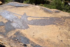 At the Visitor Center, shadows of condors are painted on rocks.