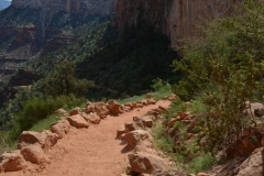 Path view.