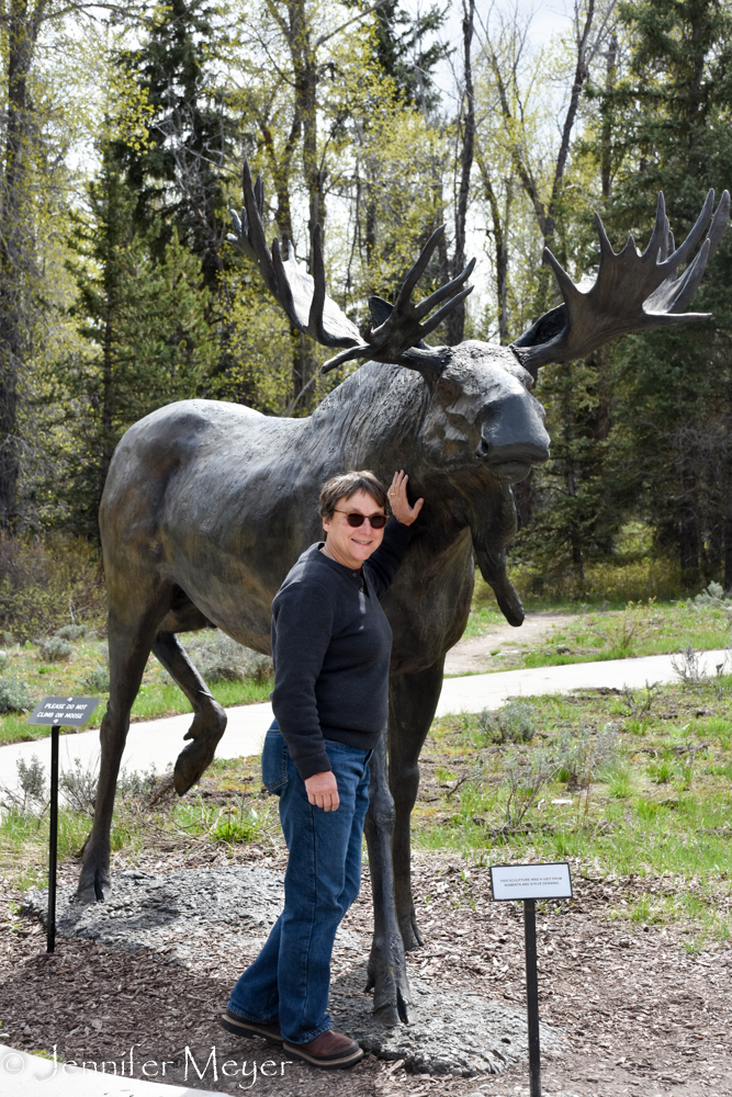 I do love moose!