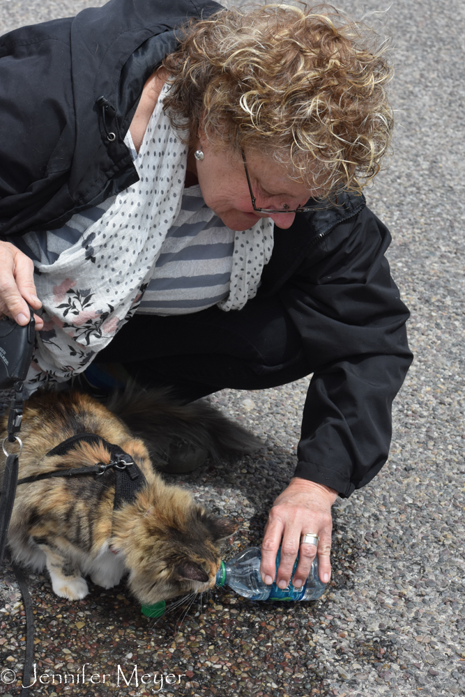 Kate tries to give Gypsy a drink from a bottle of water she founds.