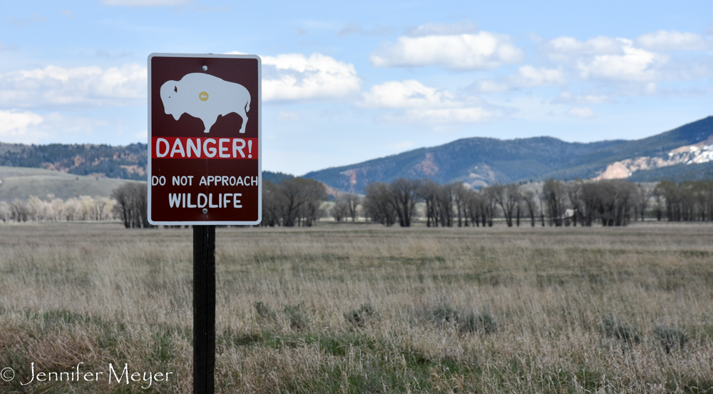 On our way back to the campground, we took the Antelope Meadow Road.