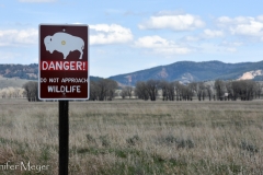 On our way back to the campground, we took the Antelope Meadow Road.