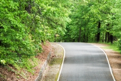 We took the pretty one-way road up to the city tower.