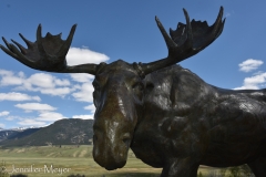 An intimidating moose.