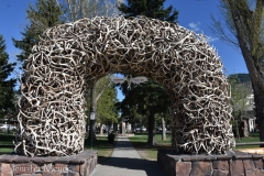 The downtown square has four arches made of antlers.