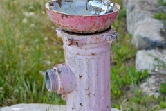 DSC_0693