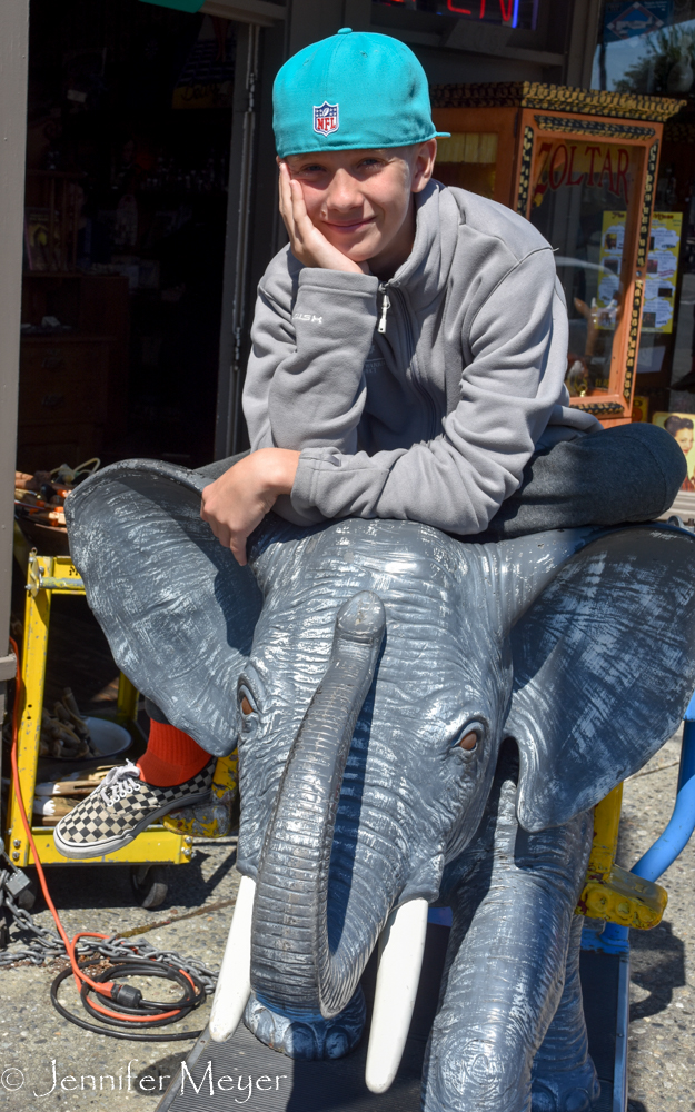 Kid on the elephant ride outside.